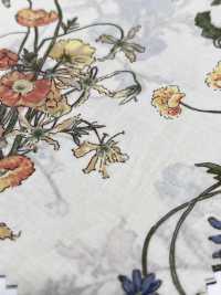 7027-640-5 80 Lawn Botanical[Textile / Fabric] HOKKOH Sub Photo