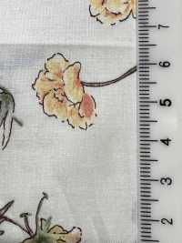 7027-640-5 80 Lawn Botanical[Textile / Fabric] HOKKOH Sub Photo