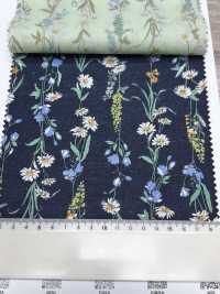 3027-650-1 60 Lawn Stripe Floral[Textile / Fabric] HOKKOH Sub Photo