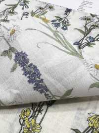 3027-650-1 60 Lawn Stripe Floral[Textile / Fabric] HOKKOH Sub Photo