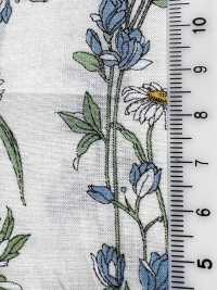 3027-650-1 60 Lawn Stripe Floral[Textile / Fabric] HOKKOH Sub Photo