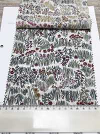 4027-660-1 60 Lawn Curve Horizontal Stripes Small Flowers[Textile / Fabric] HOKKOH Sub Photo