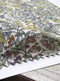 4027-670-3 Laclaw Botanical Botanical Pattern[Textile / Fabric] HOKKOH Sub Photo