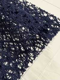 JL1951 Wide Width Frosted Lace[Textile / Fabric] Suncorona Oda Sub Photo