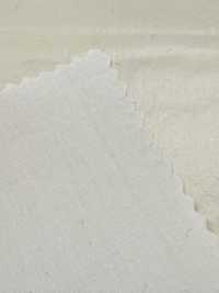 DWFM-NCGAED0049W PU Coated Cotton Broadcloth[Textile / Fabric] Sub Photo