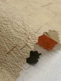 DWFM-SCGAEW0008W Wash Finish, Sheer Cloth[Textile / Fabric] Sub Photo