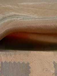 DWFM-SCGAEW0007W Cupro Wash Finish Voile[Textile / Fabric] Sub Photo