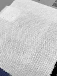 PSW6045 Cotton Linen Viyella[Textile / Fabric] KOYAMA Sub Photo