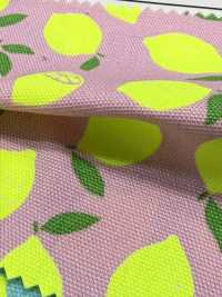 AP65103 Fluorescent Print Oxford (Roll)[Textile / Fabric] COSMO TEXTILE Additional Images