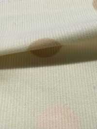 AP65801 Dot & Check Print Corduroy (Full Roll)[Textile / Fabric] COSMO TEXTILE Additional Images