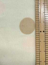 AP65801 Dot & Check Print Corduroy (Full Roll)[Textile / Fabric] COSMO TEXTILE Additional Images