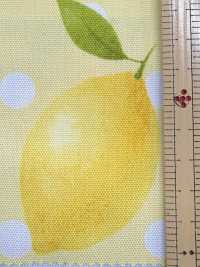 SP2650 Fruits Garden Oxford (Roll)[Textile / Fabric] COSMO TEXTILE Additional Images