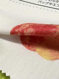SP2650 Fruits Garden Oxford (Roll)[Textile / Fabric] COSMO TEXTILE Additional Images