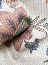 5024-1380-1 8W Corduroy Wide Width Botanical[Textile / Fabric] HOKKOH Additional Images