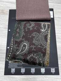 5025-1373-1 Cotton Rayon Dobby Corduroy Paisley Pattern[Textile / Fabric] HOKKOH Additional Images