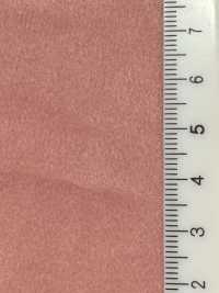 T43558 Polyester Suede < TORAY Tetoron (Polyurethane Finish)>[Textile / Fabric] Kumoi Beauty Additional Images