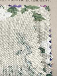 850627 Cotton Linen Canvas Anemone[Textile / Fabric] VANCET Additional Images
