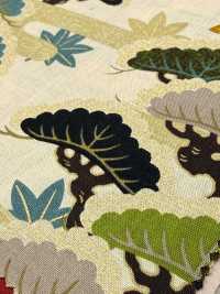 850630 Lawn Floral Gold Japanese Pattern, Rising Pine[Textile / Fabric] VANCET Additional Images