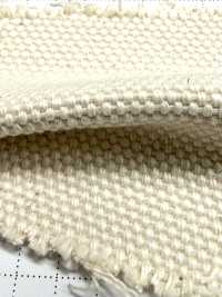 FKB03 Fujikinbai Cotton No. 3 Canvas Greige[Textile / Fabric] Fujikinbai Additional Images