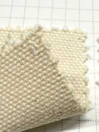 FKB07 Fujikinbai Cotton No. 7 Canvas, Greige[Textile / Fabric] Fujikinbai Additional Images
