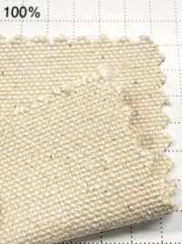 FKB09 Fujikinbai Cotton No. 9 Canvas Greige[Textile / Fabric] Fujikinbai Additional Images