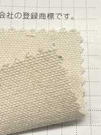 FKB10 Fujikinbai Cotton No. 10 Canvas Greige[Textile / Fabric] Fujikinbai Additional Images