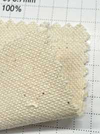 FKB11 Fujikinbai Cotton No. 11 Canvas, Unfinished[Textile / Fabric] Fujikinbai Additional Images