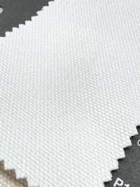 P1311 Fujikinbai Cotton No. 8 PFD For Printing[Textile / Fabric] Fujikinbai Additional Images