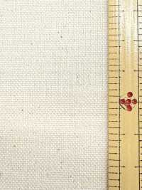 P1317 Fujikinbai Cotton No. 11 For Printing[Textile / Fabric] Fujikinbai Additional Images