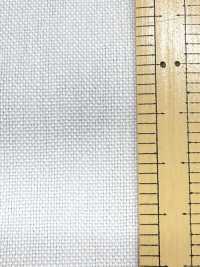 P1312 Fujikinbai Cotton No. 11 Canvas, Processed For Printing[Textile / Fabric] Fujikinbai Additional Images