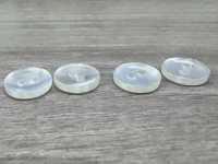 BX1007 Polyester Resin Two-hole Button IRIS Sub Photo