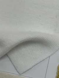C400 40-count Cotton Spun Circular Rib[Rib Knit] TAKENAKA CORPORATION Sub Photo