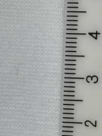 C400 40-count Cotton Spun Circular Rib[Rib Knit] TAKENAKA CORPORATION Sub Photo