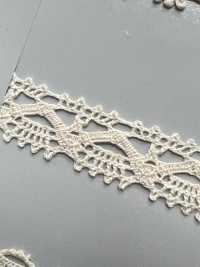 SIC-7243 Organic Cotton Torsion Lace/ 13mm SHINDO(SIC) Sub Photo