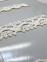 SIC-7243 Organic Cotton Torsion Lace/ 13mm SHINDO(SIC) Sub Photo