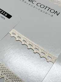 SIC-7316 Organic Cotton Torsion Lace/ 8mm SHINDO(SIC) Sub Photo
