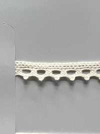 SIC-7316 Organic Cotton Torsion Lace/ 8mm SHINDO(SIC) Sub Photo
