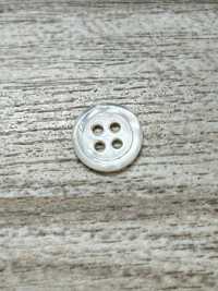 SW17-OUTLET Mother- Of-shell Button- Mother Of Pearl Shell IRIS Sub Photo