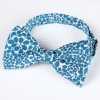 RBF-1064-06 Casual Bow Tie, Clover Pattern