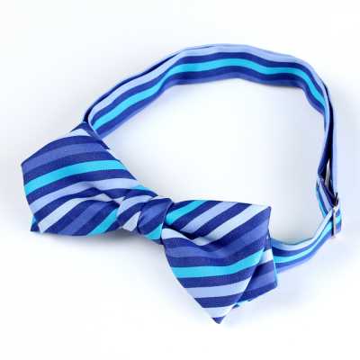 RBF-7011-80 Casual Bow Tie Multi-Stripe Blue