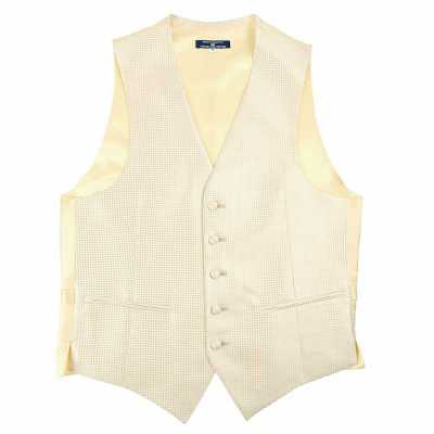 VANNERS-V-011 VANNERS Formal Vest Houndstooth Champagne Gold