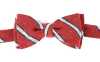 VMT-26 VANNERS Nep Silk Regimental Hand-Tied Bow Tie Red