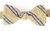 VMT-27 VANNERS Nep Silk Regimental Self-Tie Bow Tie Yellow