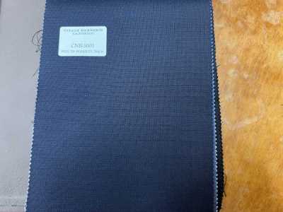 CNB5003 CANONICO Classic Navy Pinhead