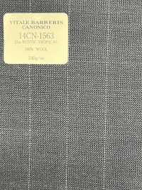 14CN1563 CANONICO 21μ RUSTIC TROPICAL Stripe Blue[Textile] CANONICO Sub Photo