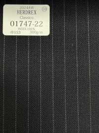 01747 CLASSICO Standard Stripes[Textile] Kunishima Co., Ltd. Sub Photo