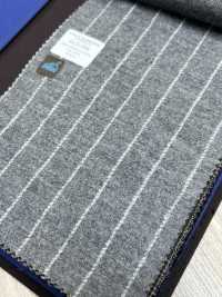55CN5508 CANONICO JERSEY WORSTED FLANNEL Light Gray Chalk Stripe[Textile] CANONICO Sub Photo