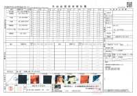 TPT1002 Iwami Kagura Print Lining Repeat Pattern Sub Photo