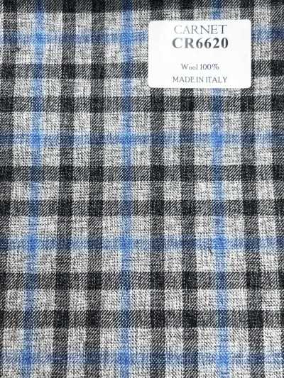 CR6620 CARNET Gray X Blue Check