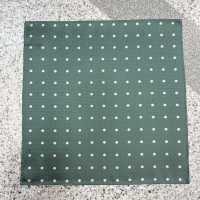 CF-601 100% Domestic Silk Pocket Square Dot Pattern Green[Formal Accessories] Yamamoto(EXCY) Sub Photo